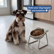 Aroxio™ Orthopedic Feeding Bowl