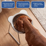 Aroxio™ Orthopedic Feeding Bowl